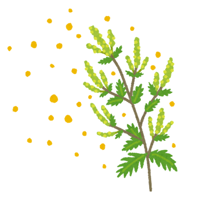 花粉症がつらい季節に。シワ取り注射という新しい選択肢