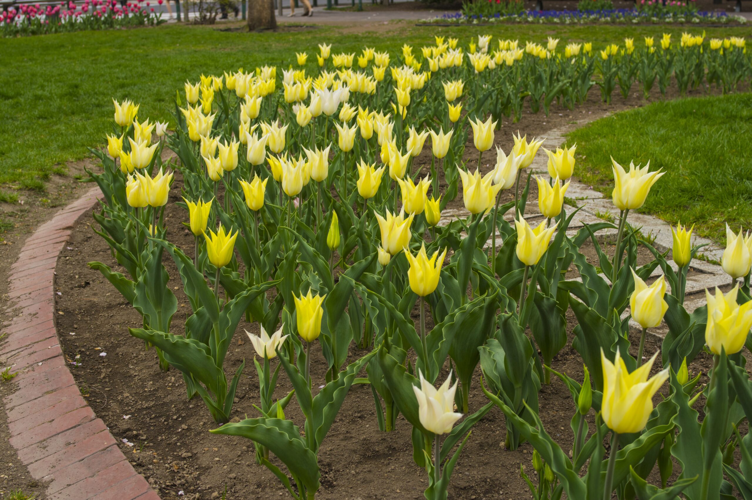 日照時間が伸びる今、見直したいスキンケア習慣