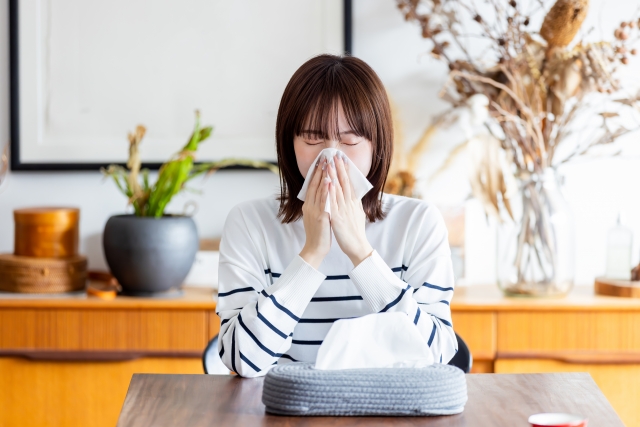 花粉の季節を少しでも快適に。体の内外から整えるセルフケアと医療の選択肢